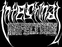 logo Intestinal Infection (GER)